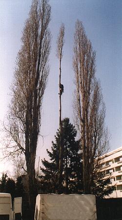 - - - ZURÜCK - - - !! --->Klick auf das Bild !